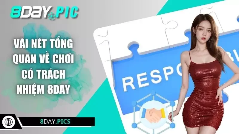Vài nét tổng quan về chơi có trách nhiệm 8DAY